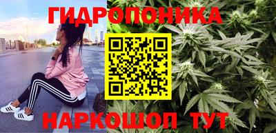 стафф Будённовск