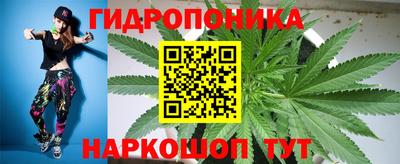 стафф Будённовск