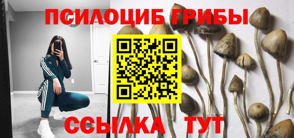 Галлюциногенные грибы прущие грибы  Вход с VPN  Москва 